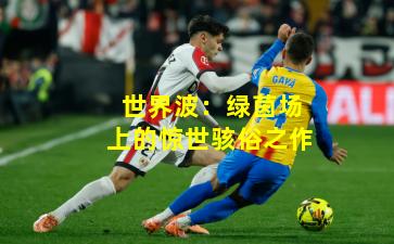 世界波：绿茵场上的惊世骇俗之作
