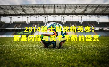 2014瑞士排球精英赛：新星闪耀与战术革新的盛宴