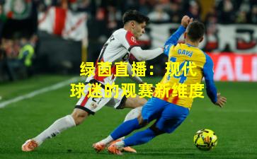 绿茵直播：现代球迷的观赛新维度